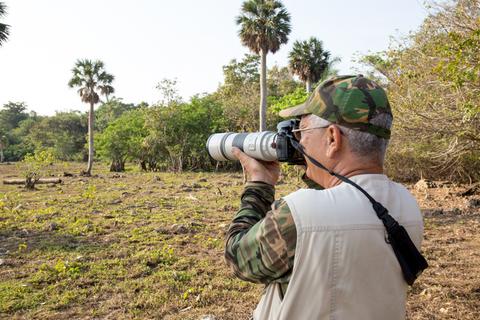 Ciénaga de Zapata Cuba